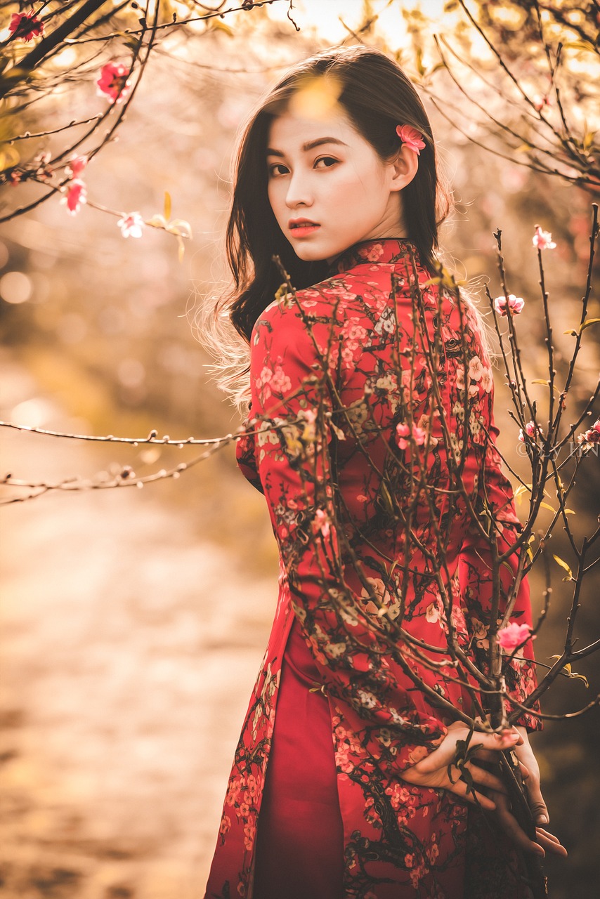 woman, beauty, fashion, girl, female, young woman, beautiful, pretty, ao dai, traditional wear, traditional clothing, lunar new year, vietnam, southeast asian, portrait, woman, beauty, fashion, girl, girl, ao dai, ao dai, vietnam, vietnam, vietnam, vietnam, vietnam